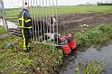 paardje in sloot zwijndrecht17-11-10 (5)